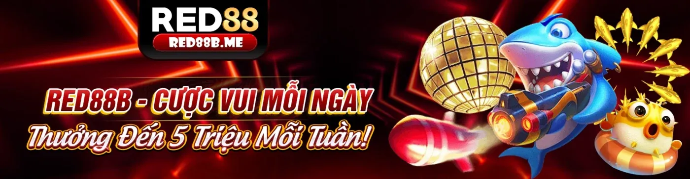 Các nhà cung cấp sảnh thể thao